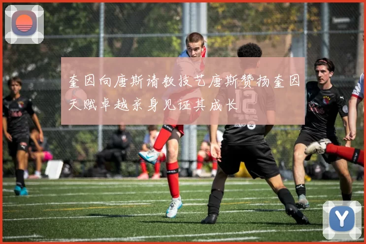 奎因向唐斯请教技艺唐斯赞扬奎因天赋卓越亲身见证其成长